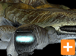 Dropship